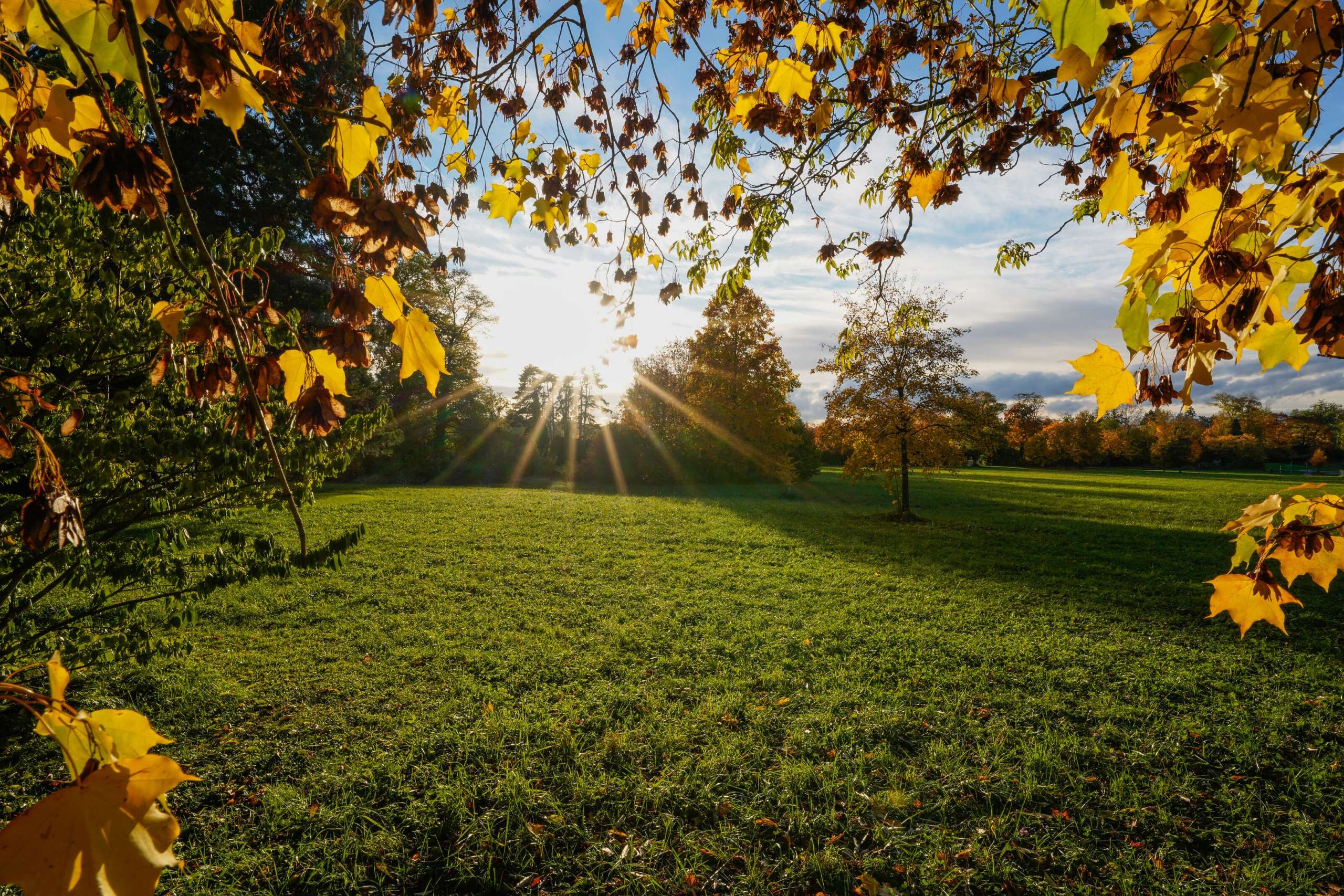 Kreuzlingen, Thurgau, Jahreszeit, Seeburgpark, Schweiz, Herbst