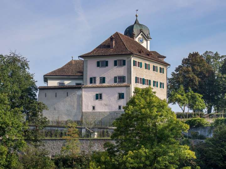 Schloss Grüningen
