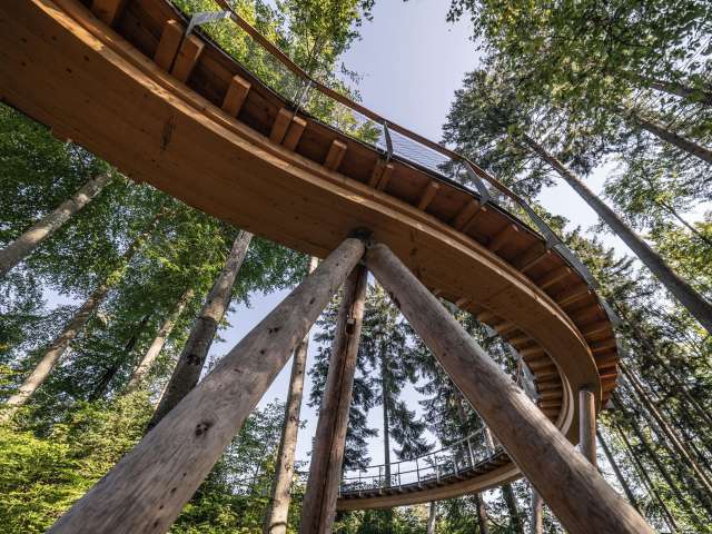 Baumwipfelpfad Neckertal