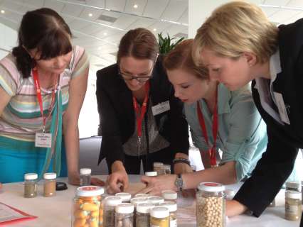 Gastro Team Challenge