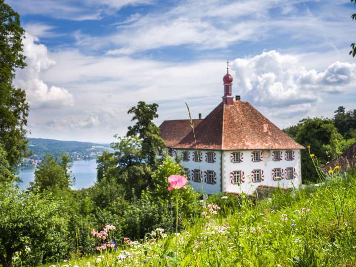 Schloss Freudenfels