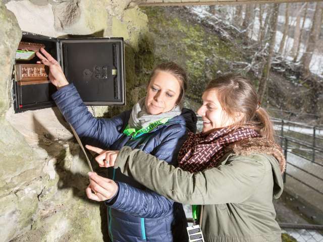 Foxtrail – PLAY. THINK. MOVE