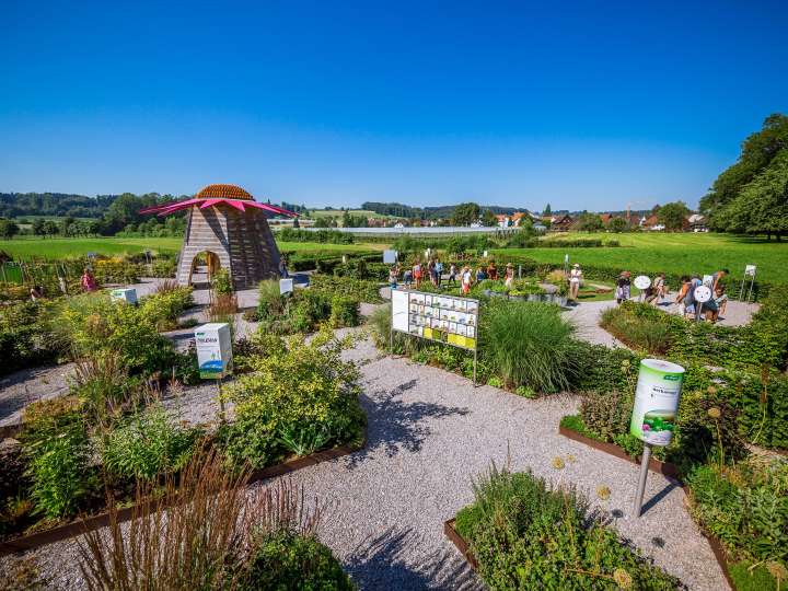 Erlebniszentrum Echinapoint